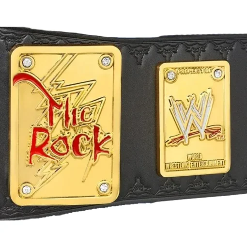 Rock Brahma Bull customized Title Belt (3)