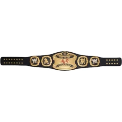 Ruthless Aggression RAW World Tag Team Championship custom tle Belt (1)