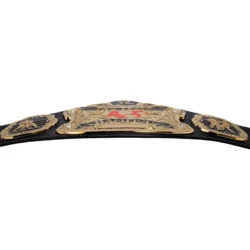 Ruthless Aggression RAW World Tag Team Championship custom tle Belt (2)