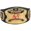 Ruthless Aggression RAW World Tag Team Championship custom tle Belt - championship belt maker