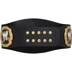 Ruthless Aggression RAW World Tag Team Championship custom tle Belt (5)