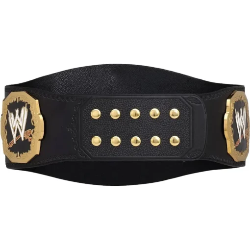 Ruthless Aggression RAW World Tag Team Championship custom tle Belt (5)