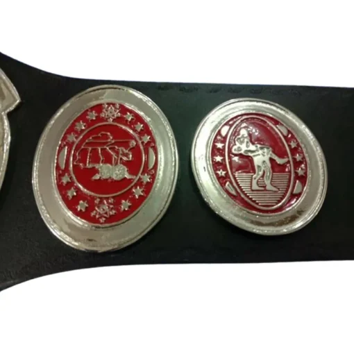 SOUTHERN HEAVYWEIGHT Zinc Metal Championship Belt (2)