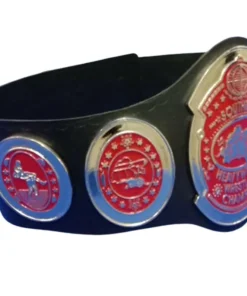 SOUTHERN HEAVYWEIGHT Zinc Metal Championship Belt (4)