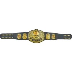 STONE COLD SMOKING SKULL CHAMPIONSHIP customized TITLE BELT 2MM (2)