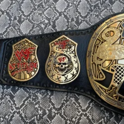 Stone Cold Smoking Skull Championship Customized Title Belt side plate