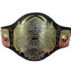 TNA HEAVYWEIGHT WRESTLING championship belt