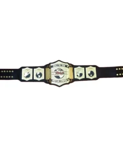 TNA WORLD TAG TEAM WRESTLING CHAMPION (1)