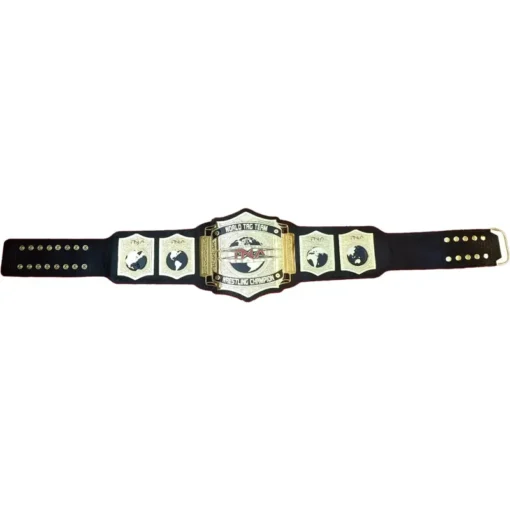 TNA WORLD TAG TEAM WRESTLING CHAMPION (1)