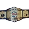 TNA WORLD TAG TEAM WRESTLING championship belt