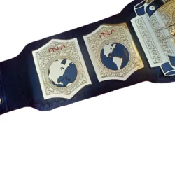 TNA WORLD TAG TEAM WRESTLING CHAMPION (3)