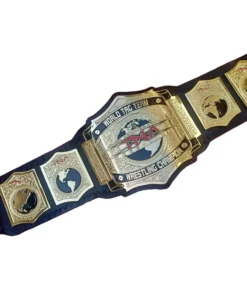 TNA WORLD TAG TEAM WRESTLING CHAMPION (4)