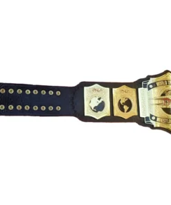 TNA WORLD TAG TEAM WRESTLING CHAMPION (5)