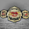 TNA World Championship Replica Belt