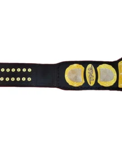 TNA World Heavyweight Championship custom Title Belt (1)