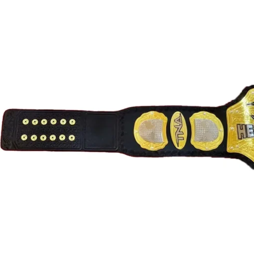 TNA World Heavyweight Championship custom Title Belt (1)