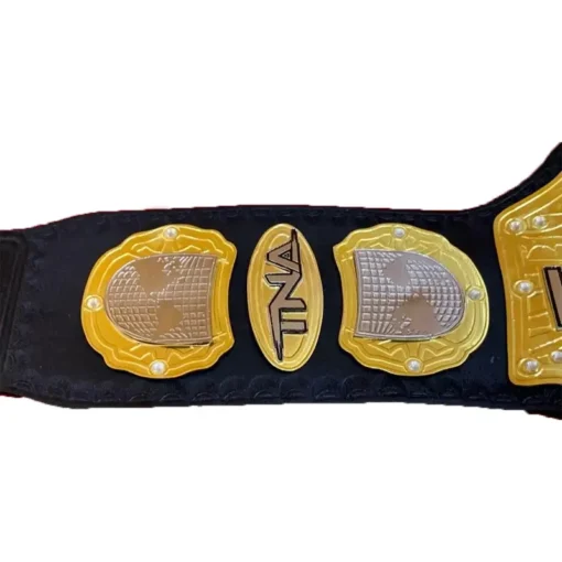 TNA World Heavyweight Championship custom Title Belt (2)