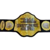 TNA World Heavyweight Championship Belt