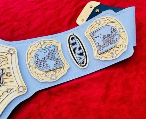 TNAWorldHeavyweightWrestlingChampionshipBelt1 - Championshipbeltmaker