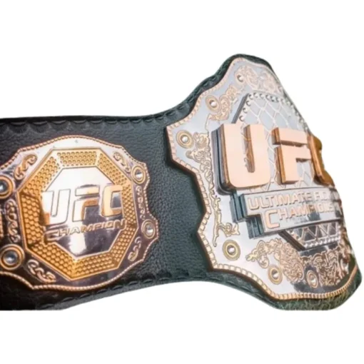 UFC Boxing Ultimate Fighting Championship (1)