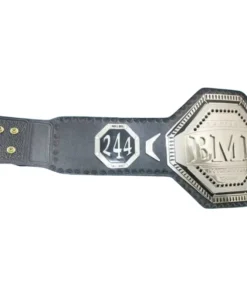 UFC LEAGACY Championship custom belt (1)