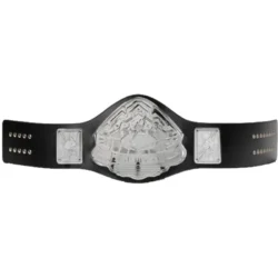 UFC Men’s Pride custom Wrestling Belt (4)