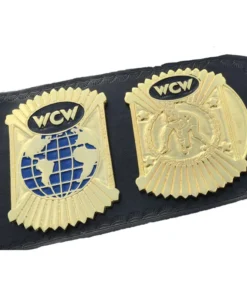 WCW WORLD TAG TEAM 24K GOLD Championship (3)
