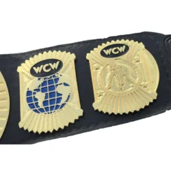 WCW WORLD TAG TEAM 24K GOLD Championship (3)