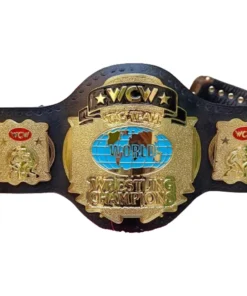 WORLD TAG TEAM WCW WRESTLING CHAMPION