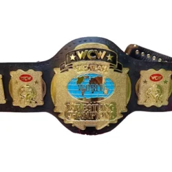 WORLD TAG TEAM WCW WRESTLING CHAMPION