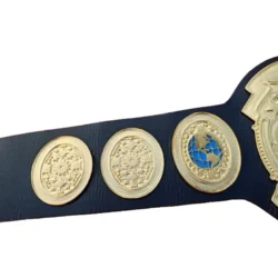 WORLD TAG TEAM WRESTLING CHAMPION BELT (1)