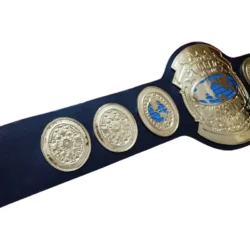 WORLD TAG TEAM WRESTLING CHAMPION BELT (4)