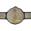 WWE BIG GOLD DUAL PLATED 24K GOLD Championship Belt