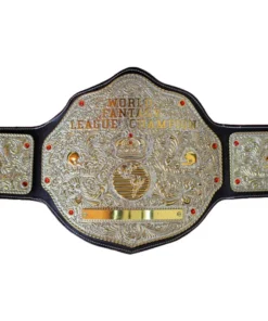 WWE BIG GOLD DUAL PLATED 24K GOLD Championship Belt