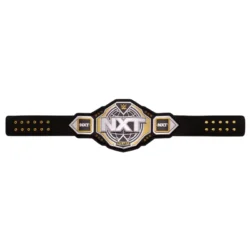 WWE NXT Championship 2024 Replica Title Belt 3 - Championshipbeltmaker