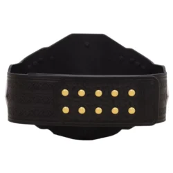 WWE NXT Championship 2024 Replica Title Belt 5 - Championshipbeltmaker