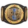 NXT Tag Team Championship Replica Belt