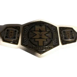 WWE NXT Womens Championship tailored Title (1)