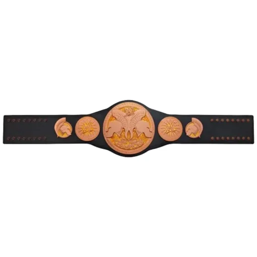WWE Tag Team Championship Title Belt (1)