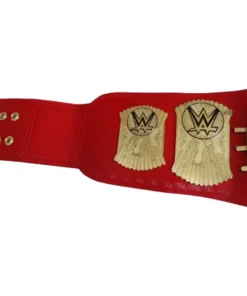 WWE UNIVERSAL Championship Belt (4)