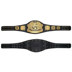 WWE Undisputed Championship Wrestling Belt