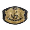 WWE Undisputed Championship Wrestling Belt