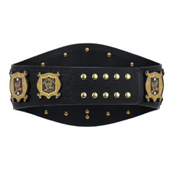 WWE Undisputed Championship Wrestling Belt