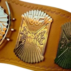 WWE Winged Eagle Championship tailored Title Belt (1)