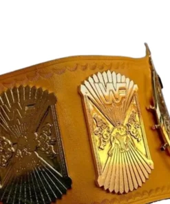 WWE Winged Eagle Championship tailored Title Belt (3)