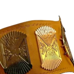 WWE Winged Eagle Championship tailored Title Belt (3)