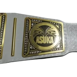 WWE Women’s Undisputed Championship Wrestling Title Belt (3)