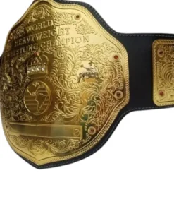 WWE World Heavyweight Championship Commemorative Title Belt (2)