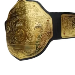 WWE World Heavyweight Championship Commemorative Title Belt (2)