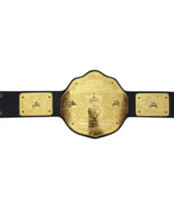 WWE World Heavyweight Championship Commemorative Title Belt (4)